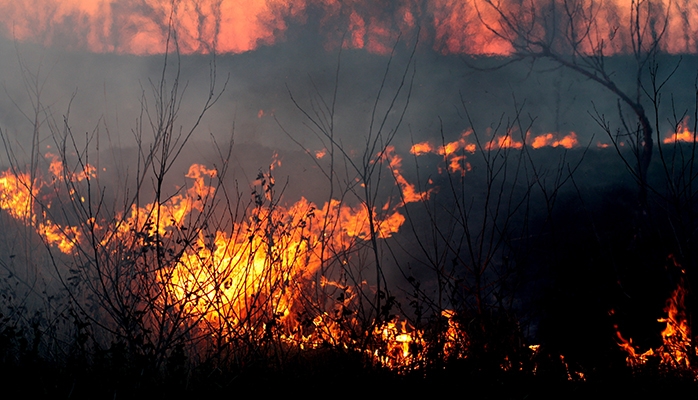 Une circulaire décline la stratégie de lutte contre les feux de forêt